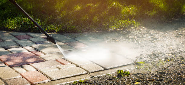 Best Solar Panel Cleaning  in Chadbourn, NC